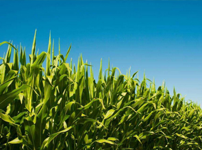 星空体育app官网入口:“齐鲁最美”揭晓山农大这位教授上榜！